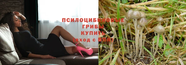 а пвп мука Баксан