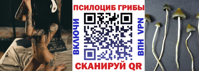 Галлюциногенные грибы Psilocybine cubensis  Шагонар 